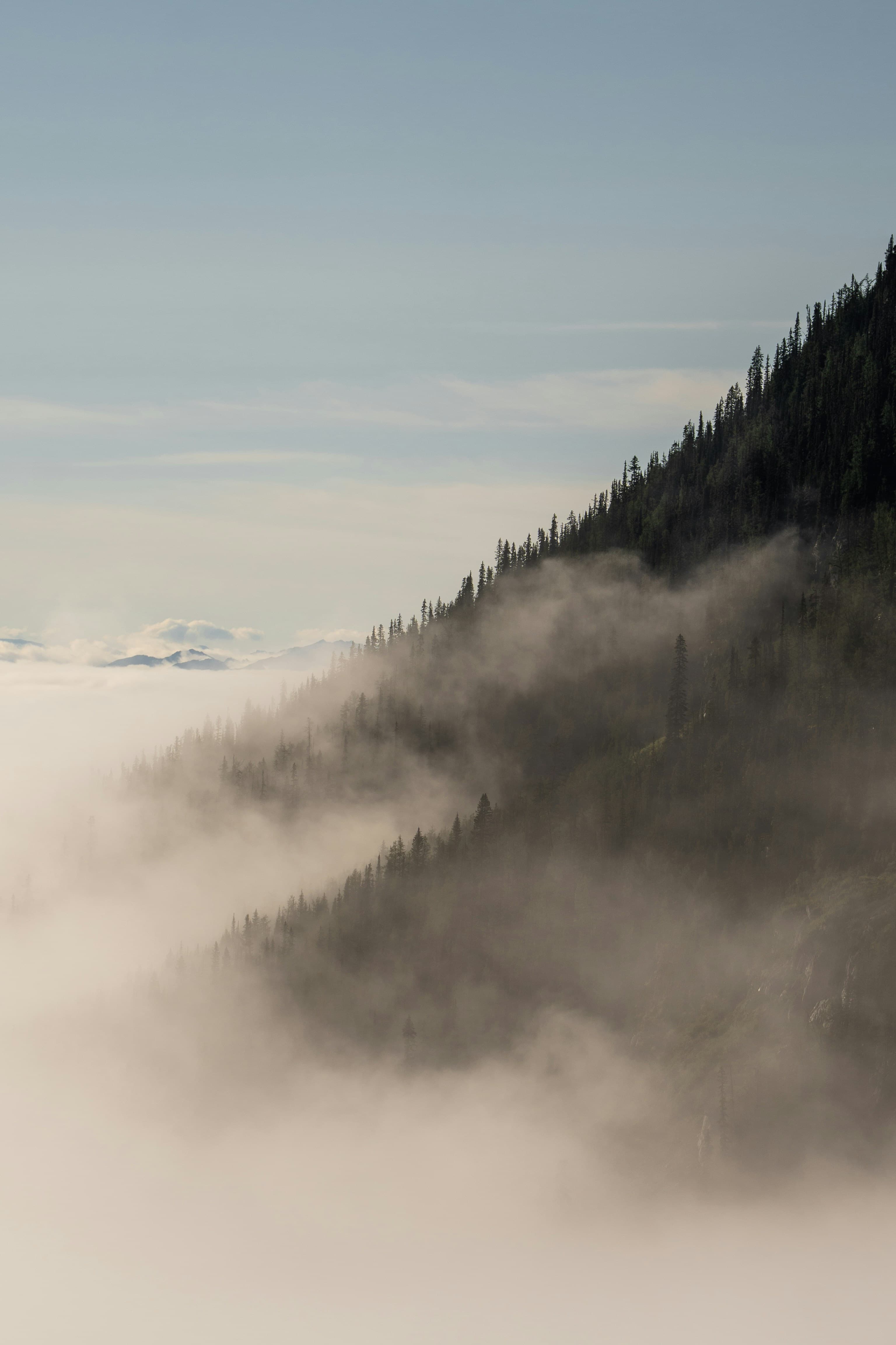 mountain