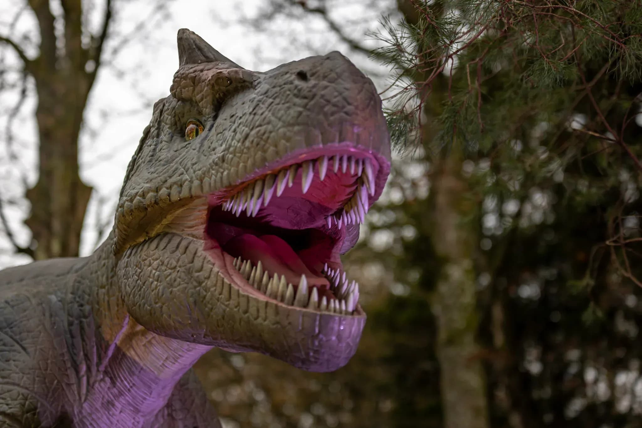 Dikke Dino